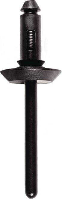 DV_ZoomOriginal_I_1481972.jpg