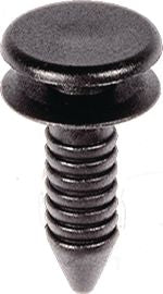 DV_ZoomOriginal_I_1481983.jpg