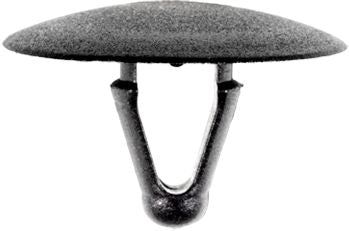 DV_ZoomOriginal_I_1481988.jpg
