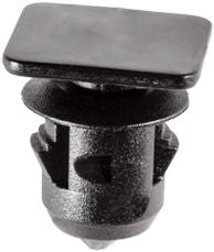 DV_ZoomOriginal_I_1493985.jpg
