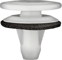 DV_ZoomOriginal_I_1535555.jpg
