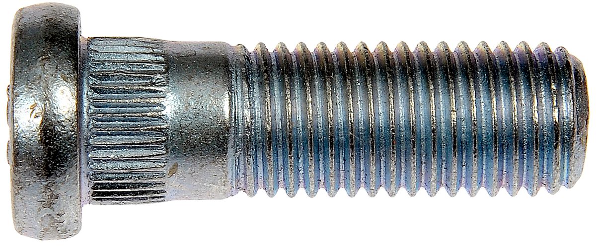 DV_ZoomOriginal_I_1636102.jpg