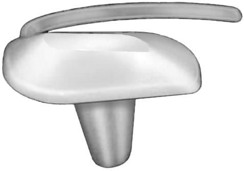 DV_ZoomOriginal_I_1679123.jpg