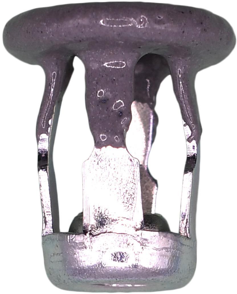 DV_ZoomOriginal_I_1679335.jpg