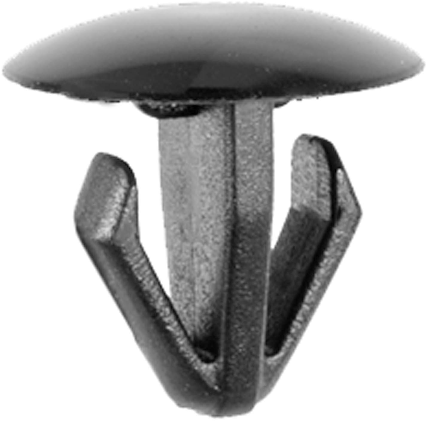 DV_ZoomOriginal_I_1679440.jpg