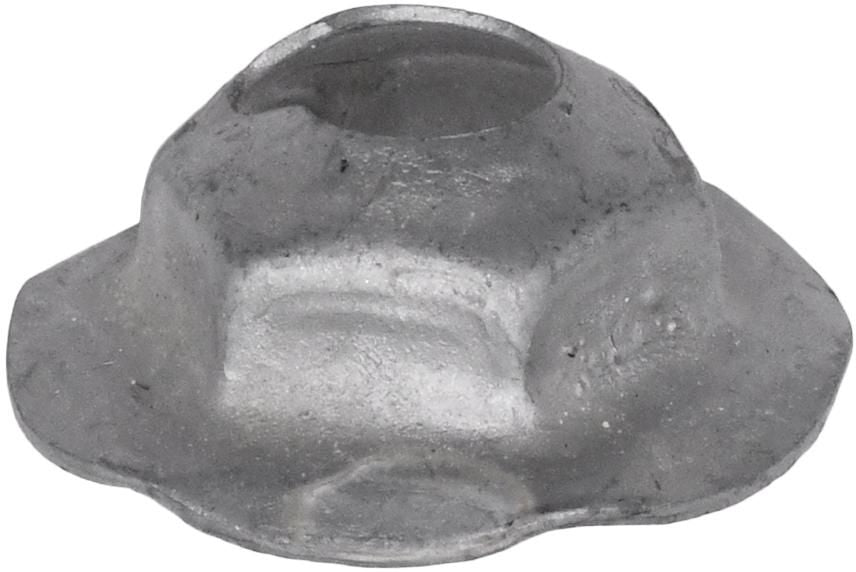 DV_ZoomOriginal_I_1679555.jpg