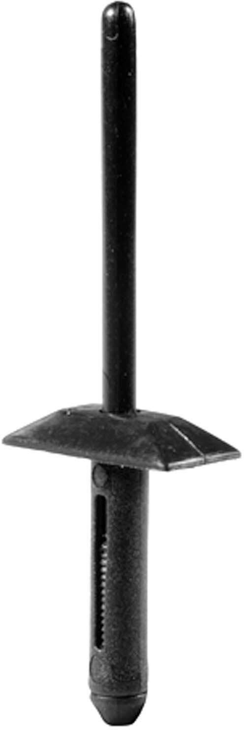 DV_ZoomOriginal_I_1679601.jpg