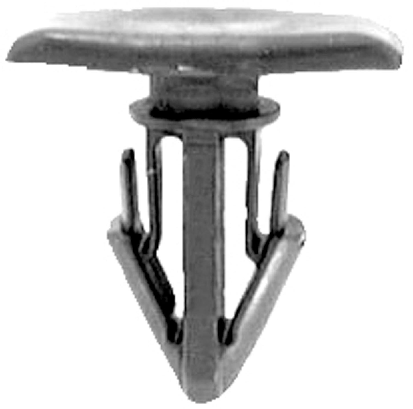 DV_ZoomOriginal_I_1679843.jpg