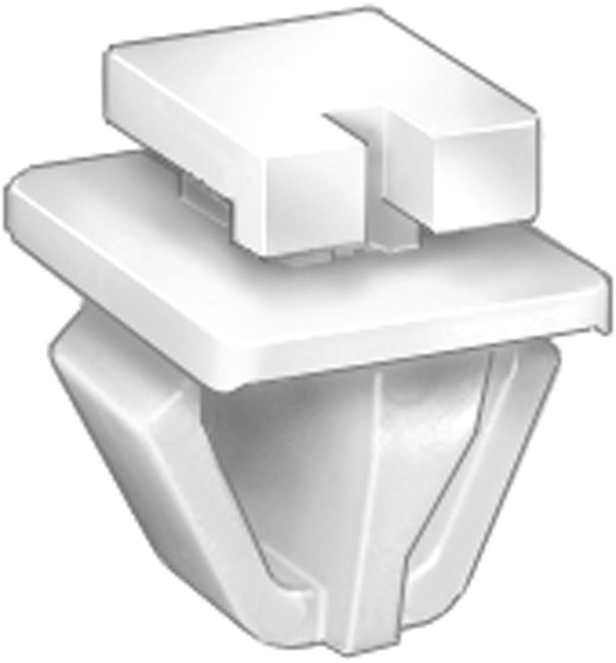 DV_ZoomOriginal_I_1680013.jpg
