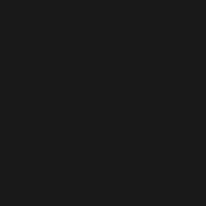 DV_ZoomOriginal_I_1710233_AP1.jpg