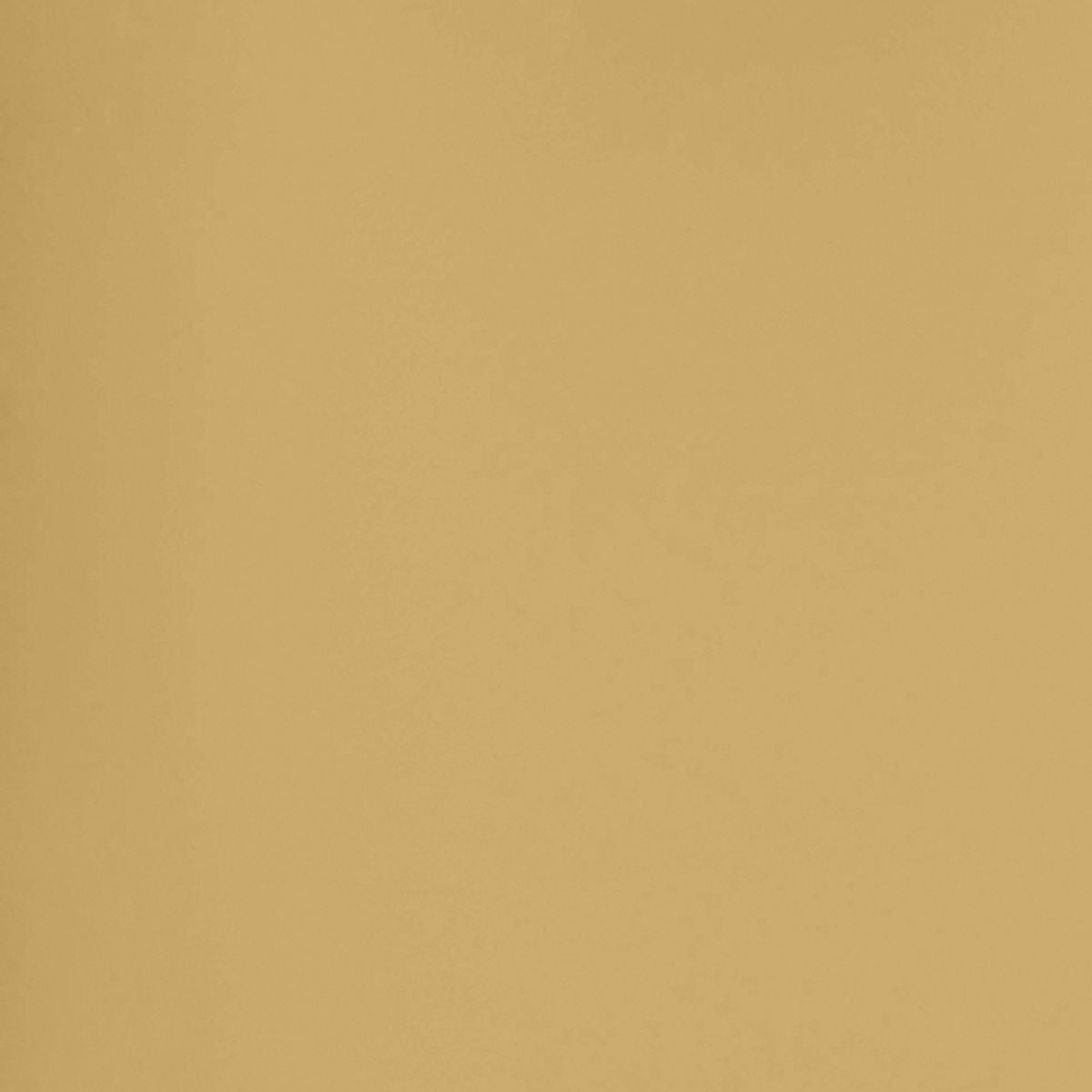 DV_ZoomOriginal_I_1710259_AP1.jpg