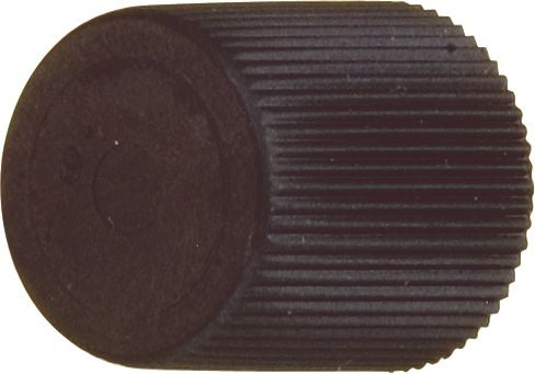 DV_ZoomOriginal_I_17518.jpg