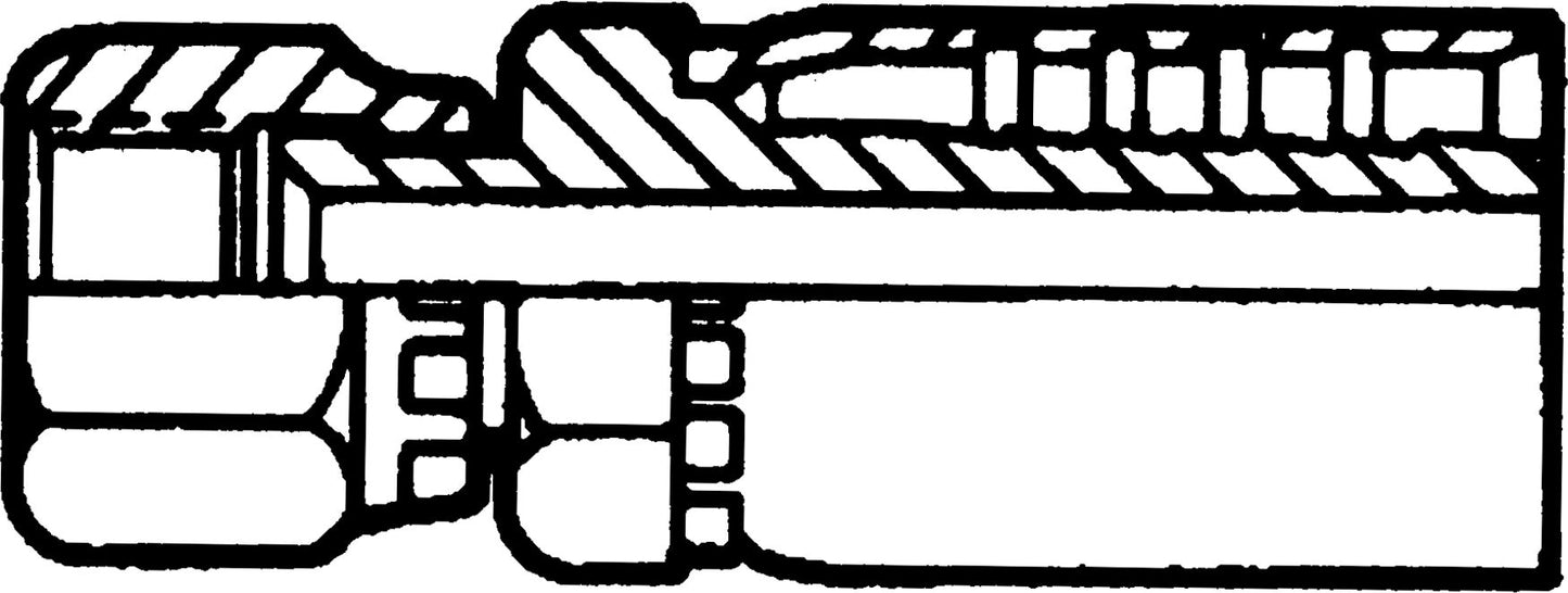 DV_ZoomOriginal_I_20528.jpg
