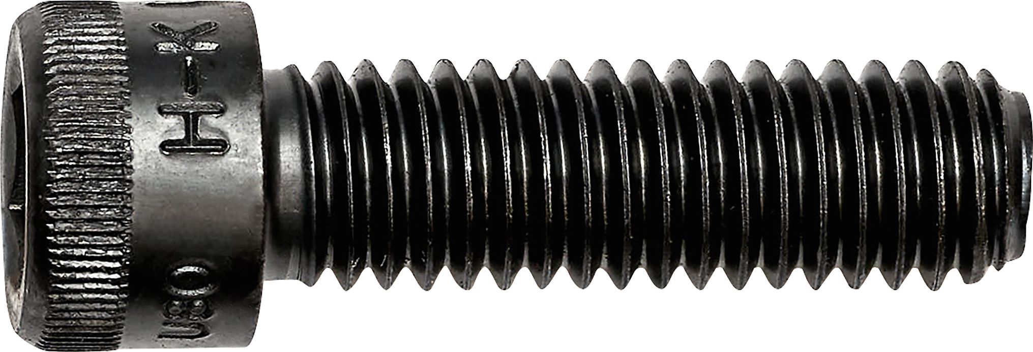 DV_ZoomOriginal_I_3532.jpg