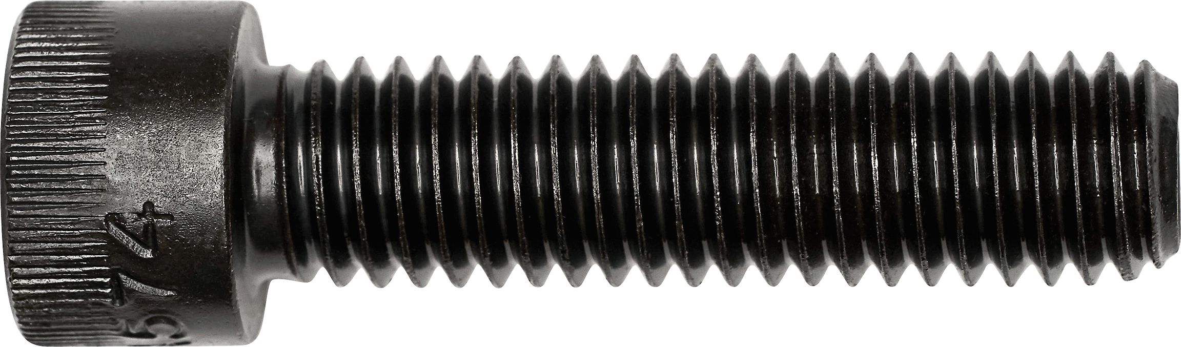 DV_ZoomOriginal_I_3533.jpg