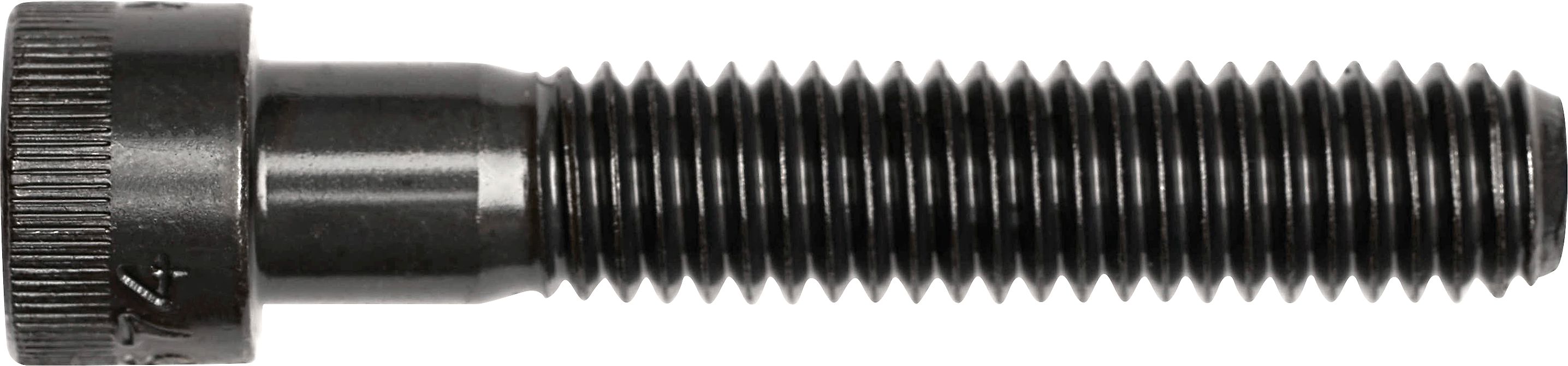 DV_ZoomOriginal_I_3535.jpg