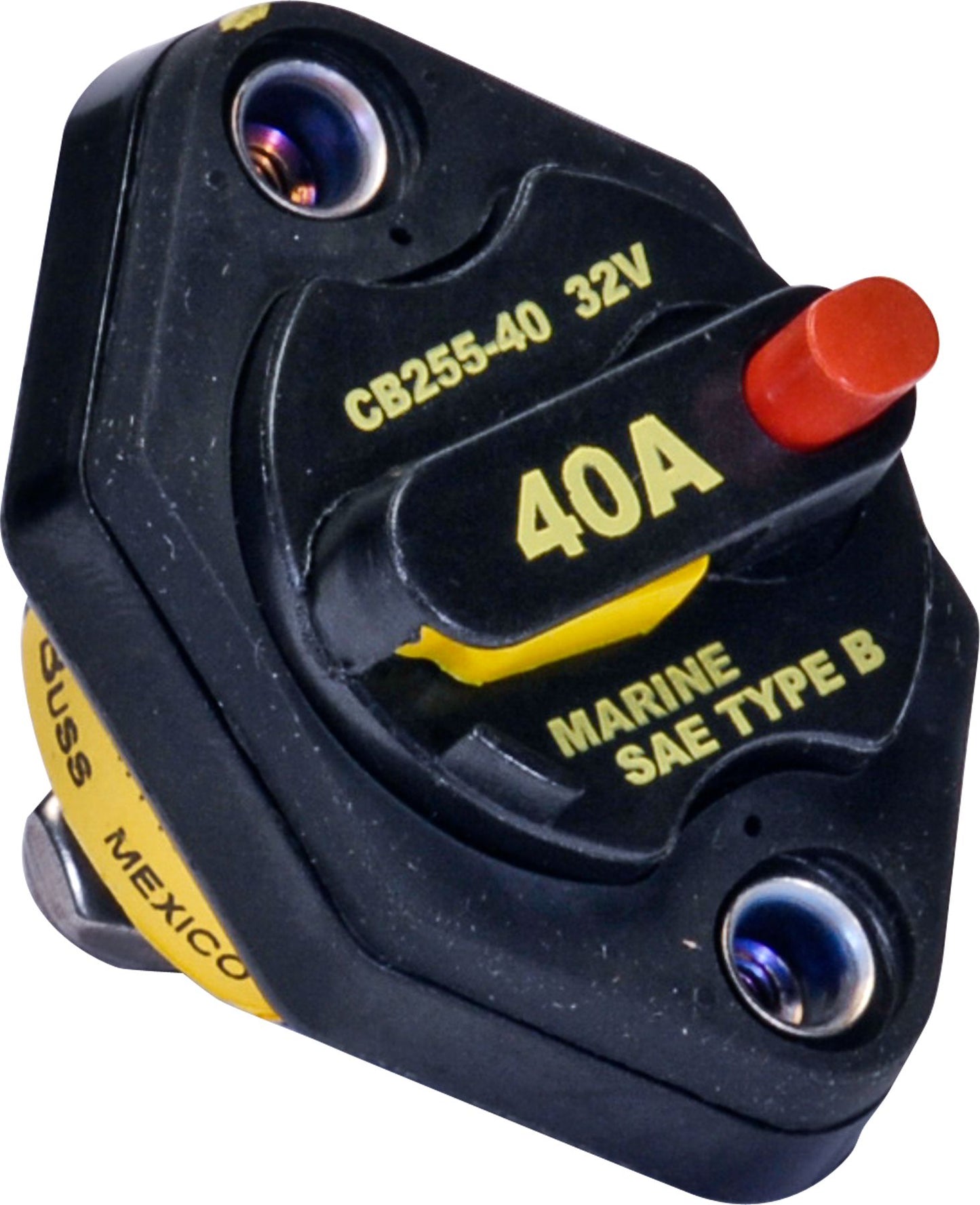 DV_ZoomOriginal_I_50262.jpg