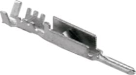 DV_ZoomOriginal_I_54083.jpg