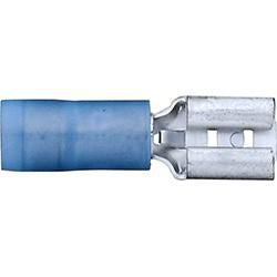 DV_ZoomOriginal_I_60506_WB.jpg