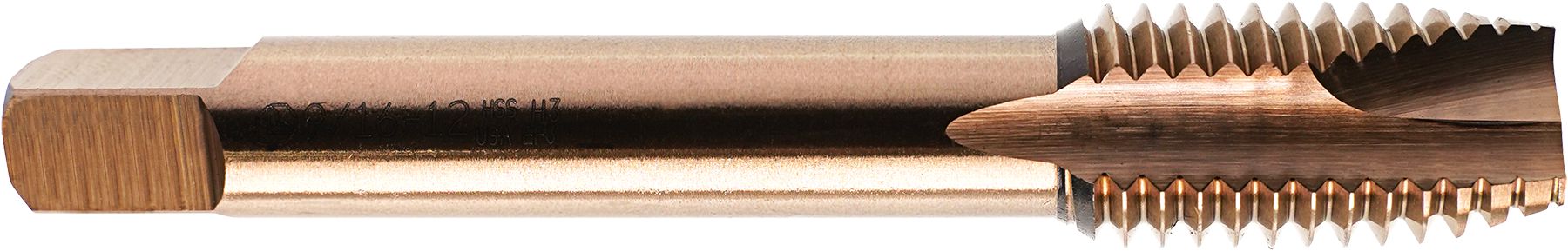 DV_ZoomOriginal_I_61138.jpg