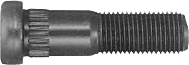 DV_ZoomOriginal_I_82568.jpg