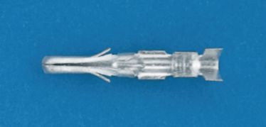 DV_ZoomOriginal_I_98792.jpg