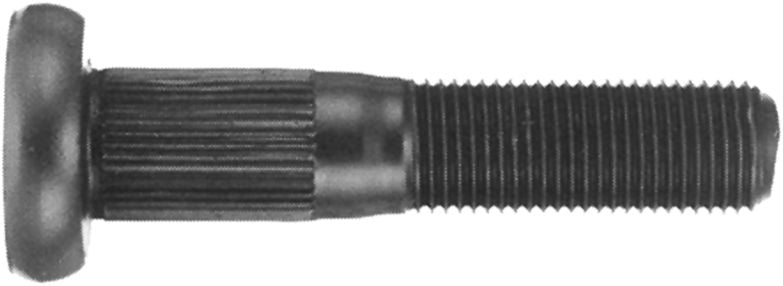 DV_ZoomOriginal_I_99709.jpg