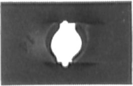 DV_ZoomOriginal_I_KT11113.jpg