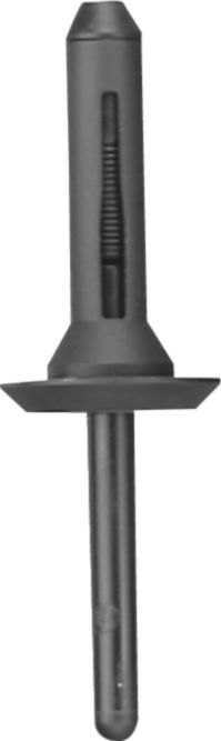 DV_ZoomOriginal_I_KT11196.jpg