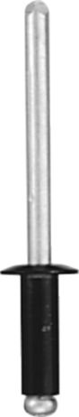DV_ZoomOriginal_I_KT11241.jpg