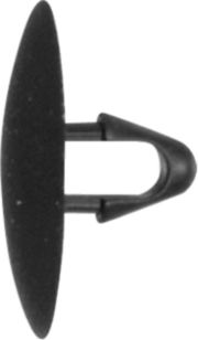 DV_ZoomOriginal_I_KT11370.jpg