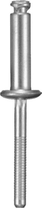 DV_ZoomOriginal_I_KT11475.jpg