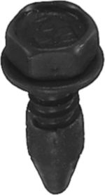 DV_ZoomOriginal_I_KT11568.jpg
