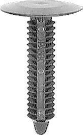 DV_ZoomOriginal_I_KT12671.jpg