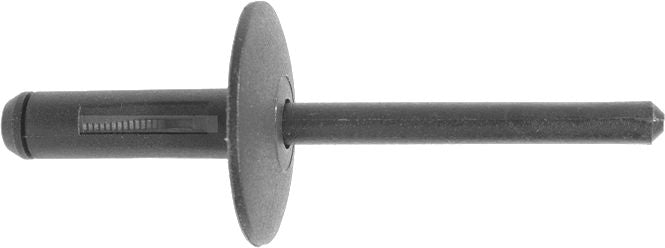 DV_ZoomOriginal_I_KT13750.jpg