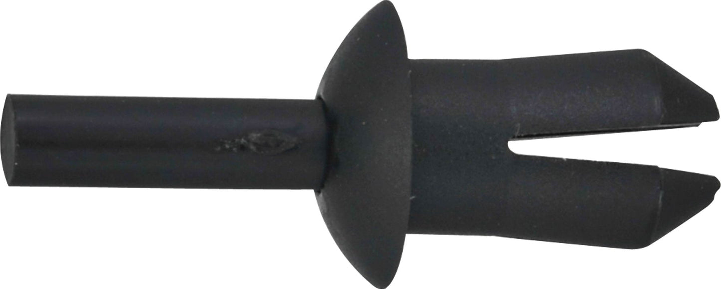 DV_ZoomOriginal_I_KT13775.jpg