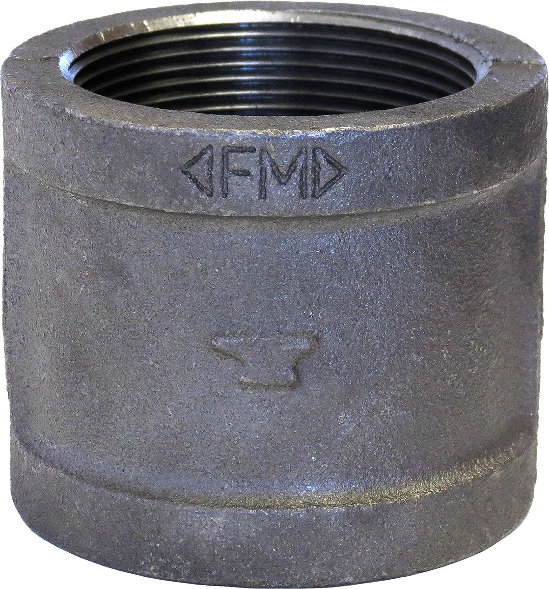 DV_ZoomOriginal_P_1913D.jpg