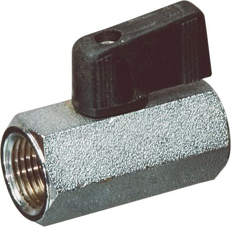 DV_ZoomOriginal_P_2776.jpg