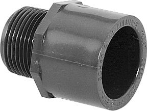 DV_ZoomOriginal_P_2856.jpg