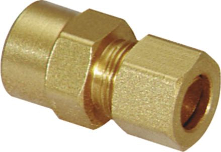 DV_ZoomOriginal_P_30903.jpg