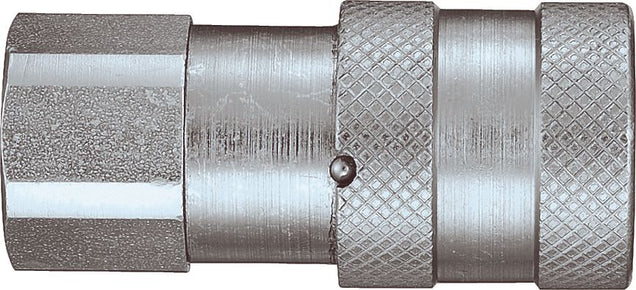 DV_ZoomOriginal_P_31283.jpg
