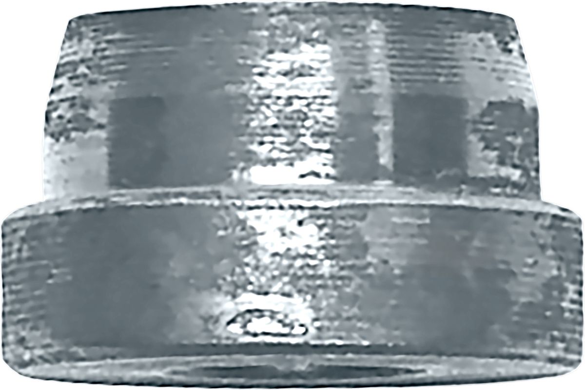DV_ZoomOriginal_P_6409.jpg