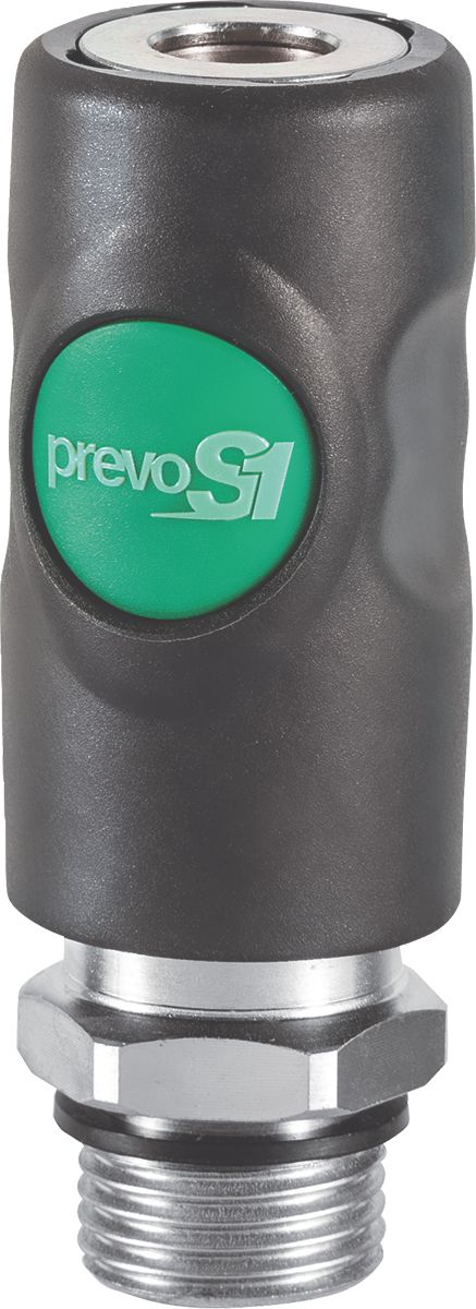 DV_ZoomOriginal_P_FP5195.jpg