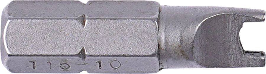 DV_ZoomOriginal_P_HT5184.jpg