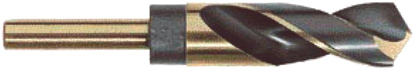 DV_ZoomOriginal_P_R303B.jpg
