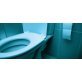 Husky® 302 Toilet Bowl Cleaner/Disinfectant 32fl.oz - 42301