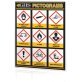 GHS Safety Simplified Pictogram Wall Chart 24" x 36" - 1403000