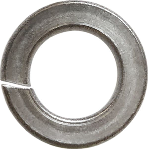 DV_ZoomOriginal_I_1144313.jpg