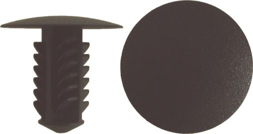 DV_ZoomOriginal_I_1365422.jpg