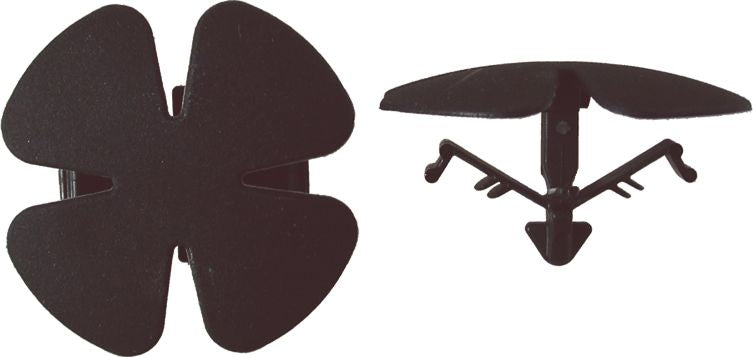 DV_ZoomOriginal_I_1365433.jpg
